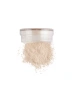 TRIUMPH пудра для лица рассыпчатая studio hd mineral matte loose powder т.01